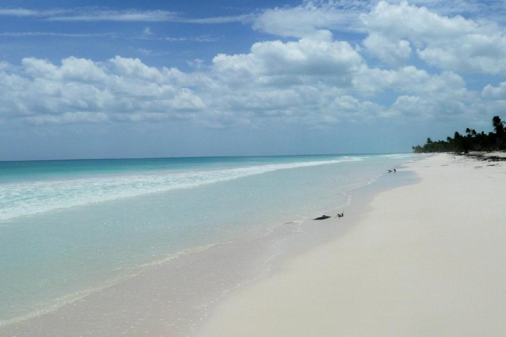 Casa Pelicanos Tulum Beach Mx - Next To Hotel Zone Dış mekan fotoğraf